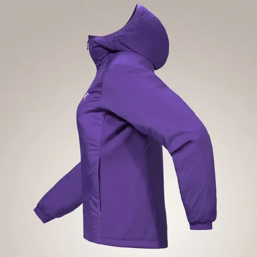 Atom Hoody W