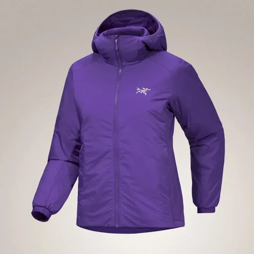 Atom Hoody W