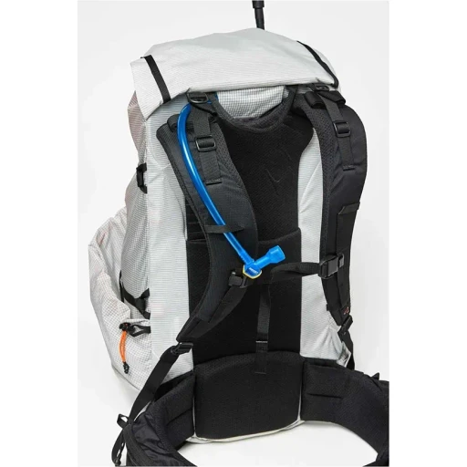 Radix 31