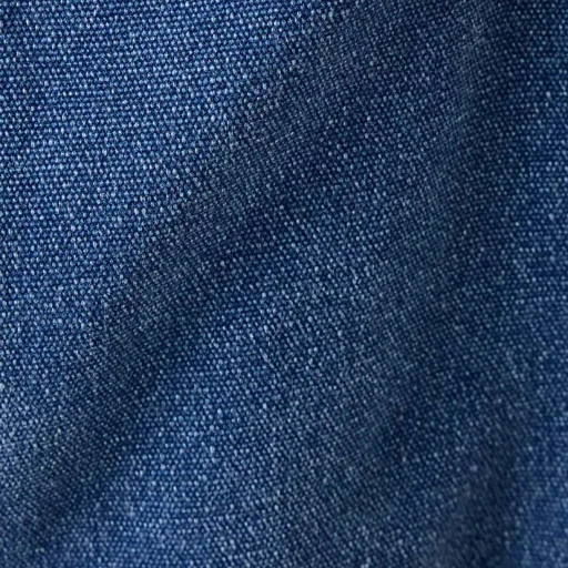 Plas Indigo Field Parka