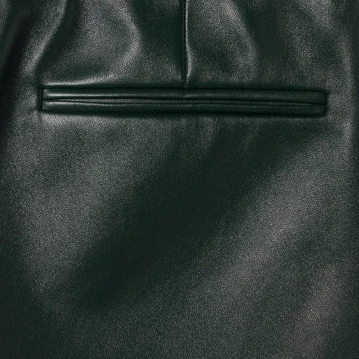 Shiny Leather Shorts