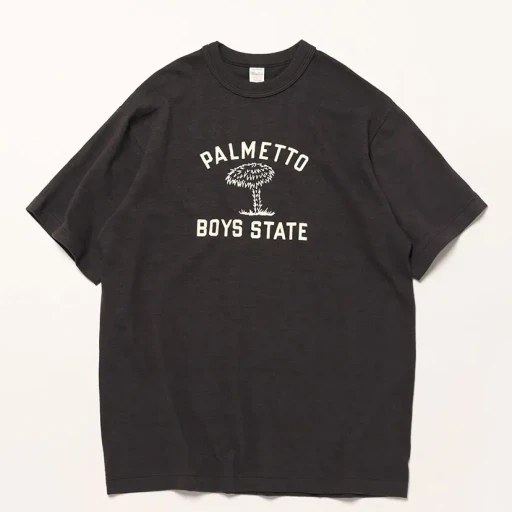 Lot 4601 Palmetto