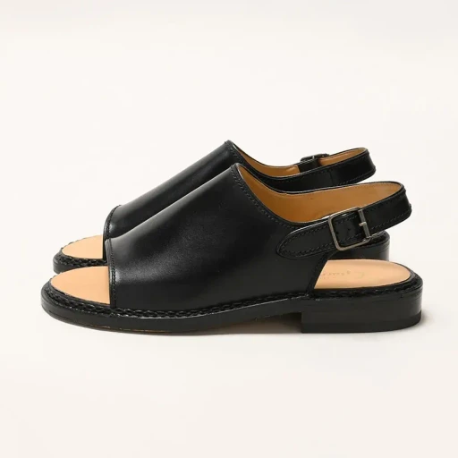 Fg548.008