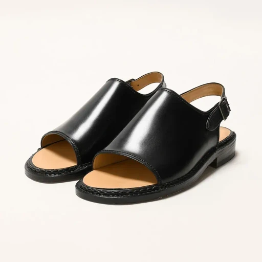 Fg548.008