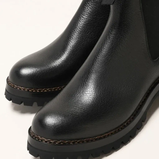 Fg579.001