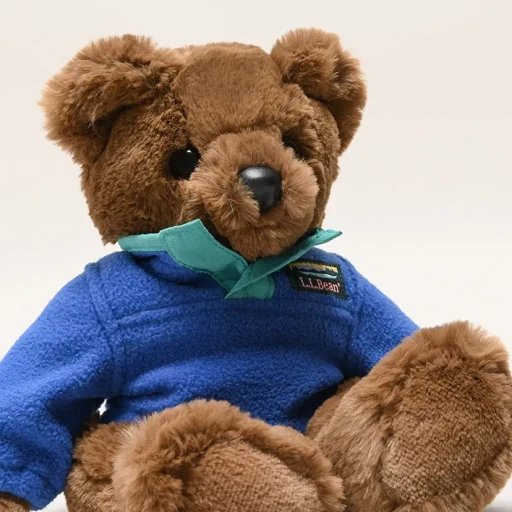 L.L.Bear With Fleece Pullover