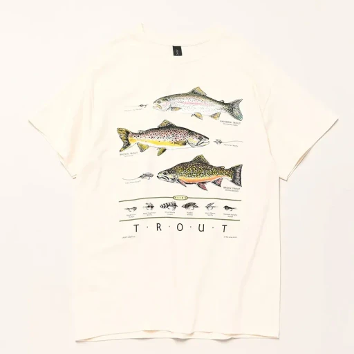Trout & Flies