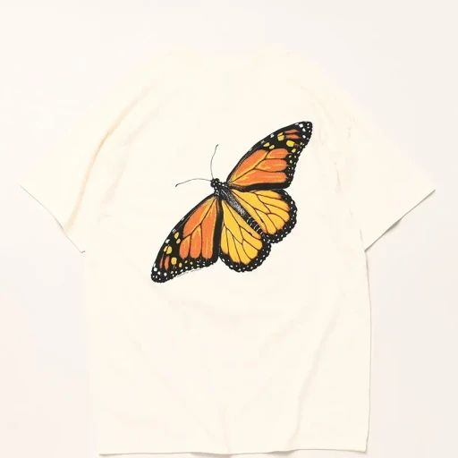 Monarch Metamorphosis