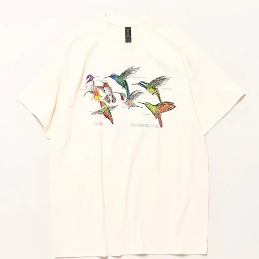 Humming Birds