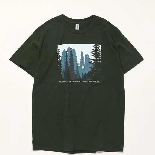 Forest Wilderness