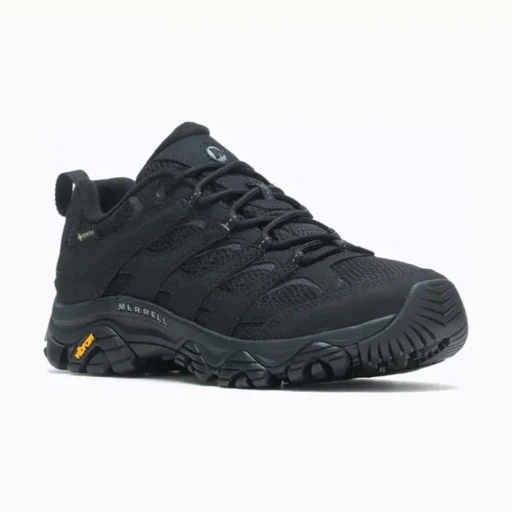 Moab 3 Synthetic Gore-Tex