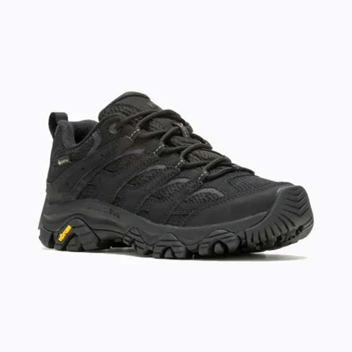 Moab 3 Synthetic Gore-Tex