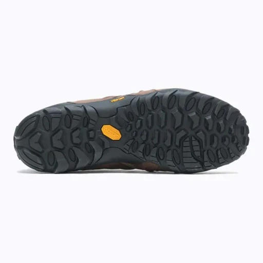 Chameleon 8 Stretch