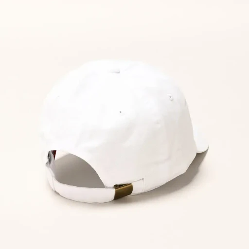 Strap Back Cap - Hydrologic Cycle System