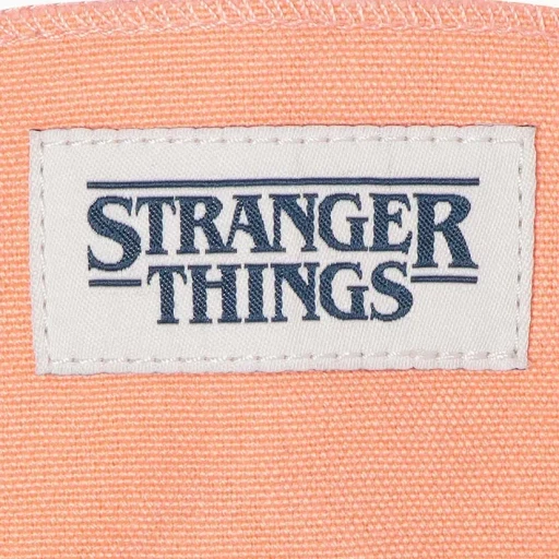 All Star Aged 87 Cl Hi / Stranger Things 5