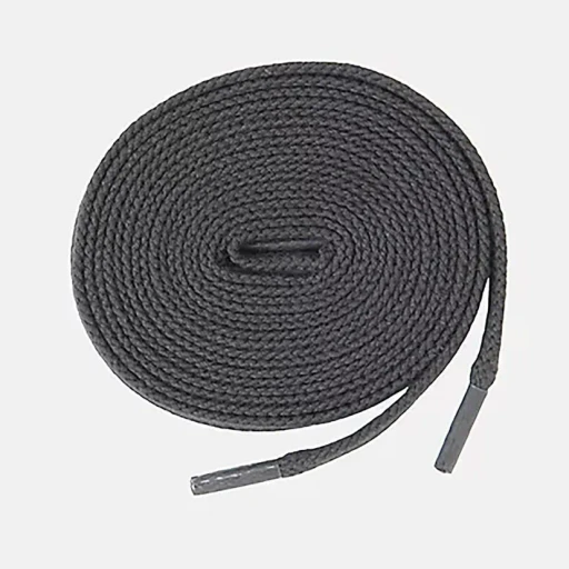 Shoelace