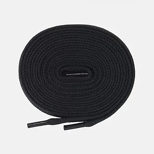 Shoelace