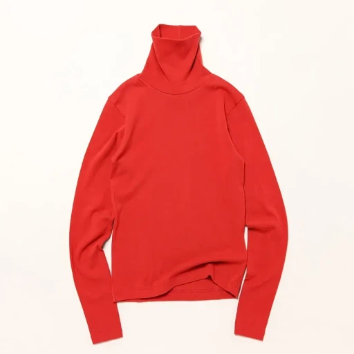 2520A Prezzemolo