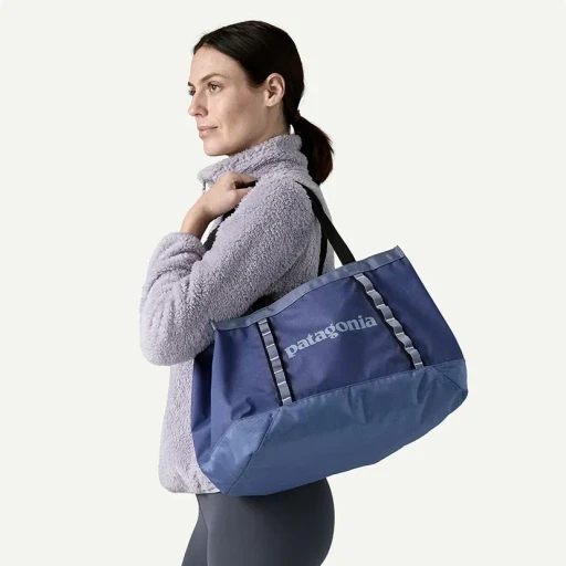 Black Hole Tote 25L