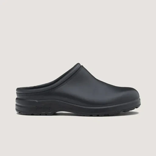 Bs2381009