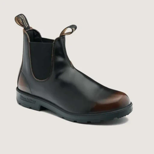 Bs2547196