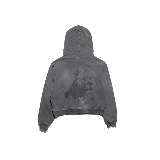 Pit Bull Women’S Petite Hoodie