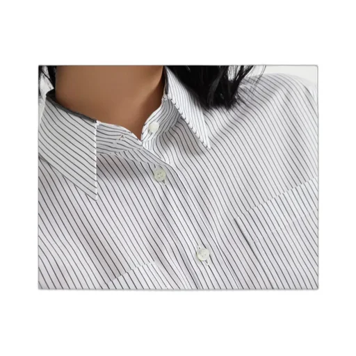 Striped Poplin Shirt