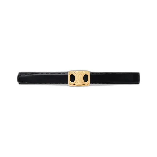 Medium 25Mm Reversible Framed Triomphe Belt In Taurillon