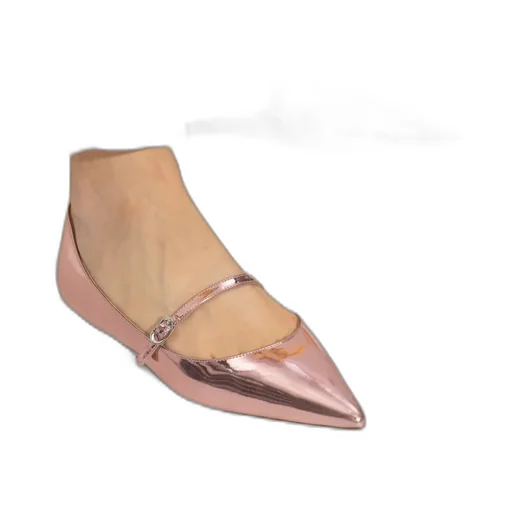 Pointed Ballet Shoes