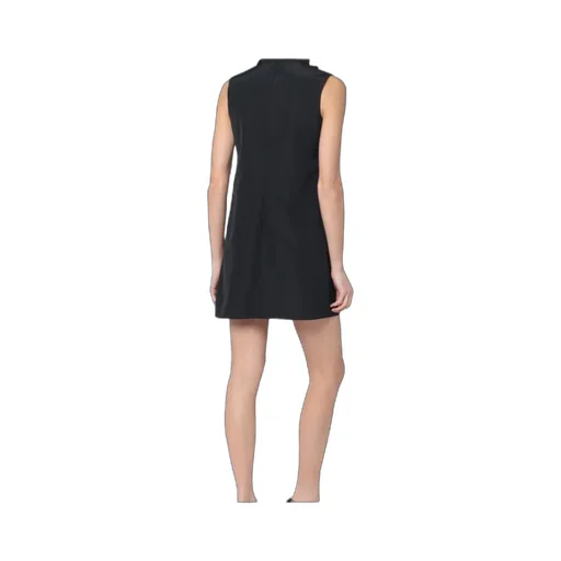 Sleeveless Dress