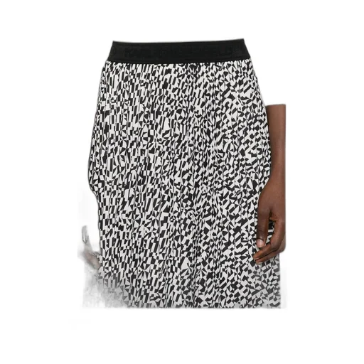 Pleated Skirt