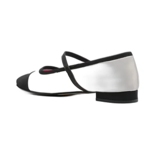 Leather Ballerinas