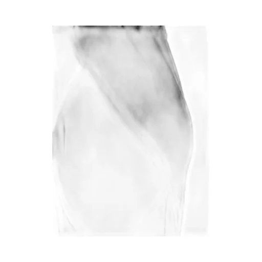 Rick Owens Wide Leg Pants