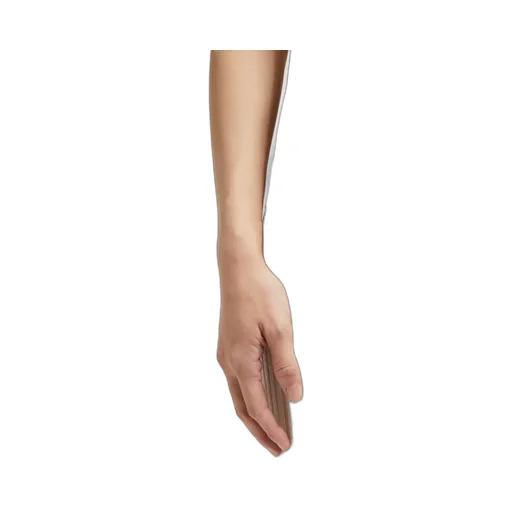 Moncler X Willow Smith Ring-Detailed Crewneck T-Shirt