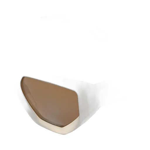 Golden Goose Deluxe Brand Cat-Eye Frame Sunglasses