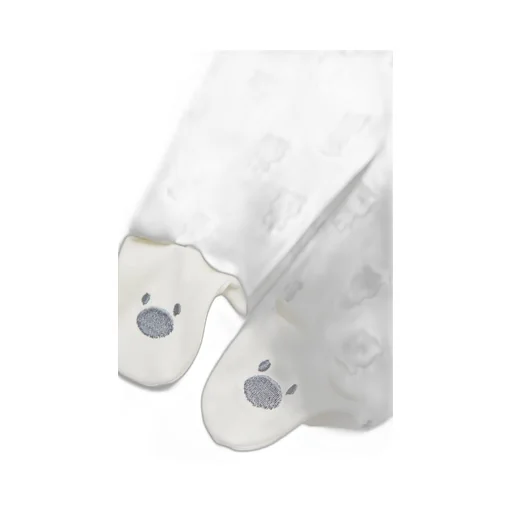 Teddy Bear Print Cotton Set