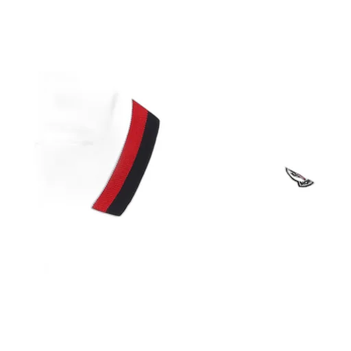 Embroidered Logo Cotton Polo Shirt