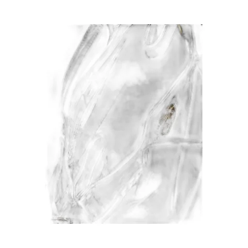 Valentino Vlogo Plaque Top Handle Bag