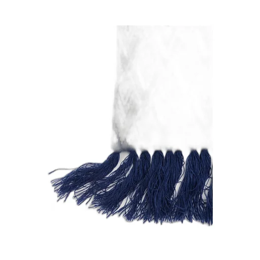 Valentino Toute La V Fringed Edge Scarf