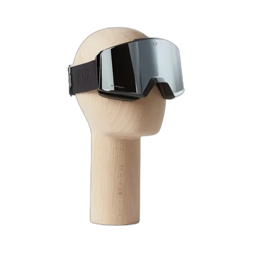 Ski Goggles