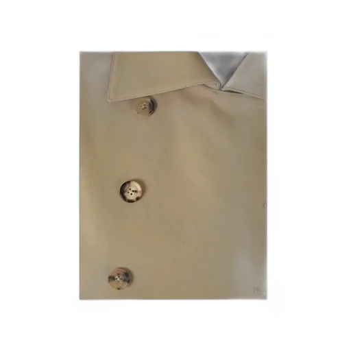 Double-Breasted Trench Coat