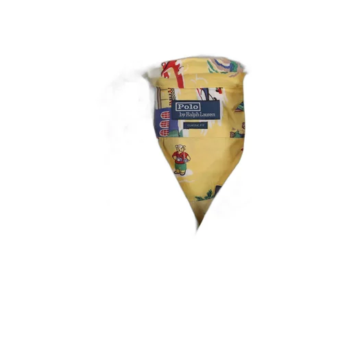 Polo Ralph Lauren Graphic Printed Shirt