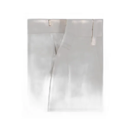 Closed Pleated Wide Leg Pants