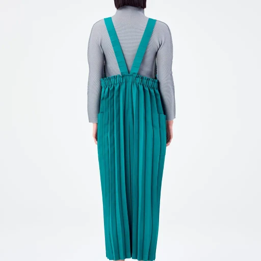 Color Pleats Bottom