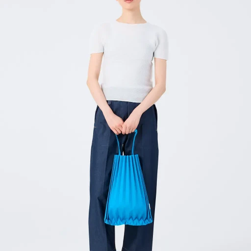Trunk Pleats Bag 12