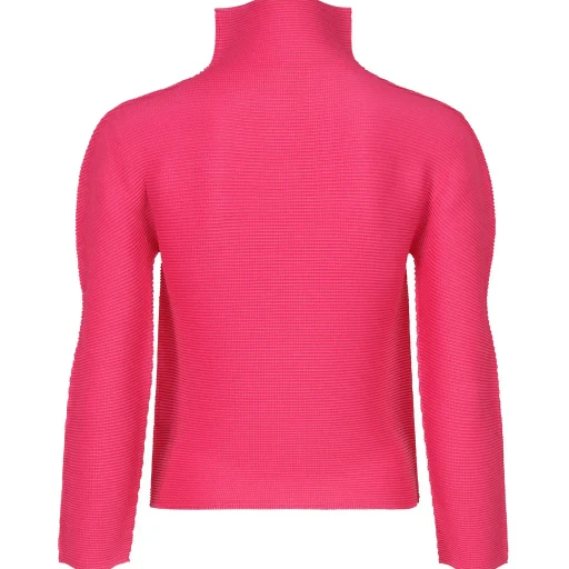 Stretch Pleats 1