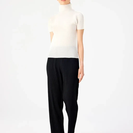 Stretch Pleats