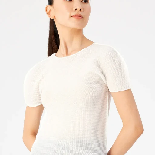 Stretch Pleats