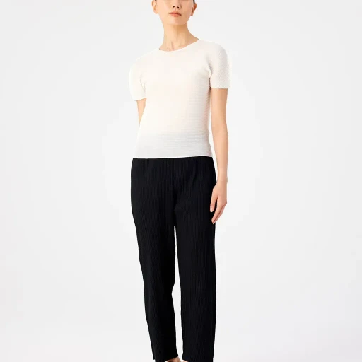 Stretch Pleats