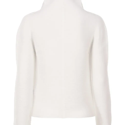Stretch Pleats